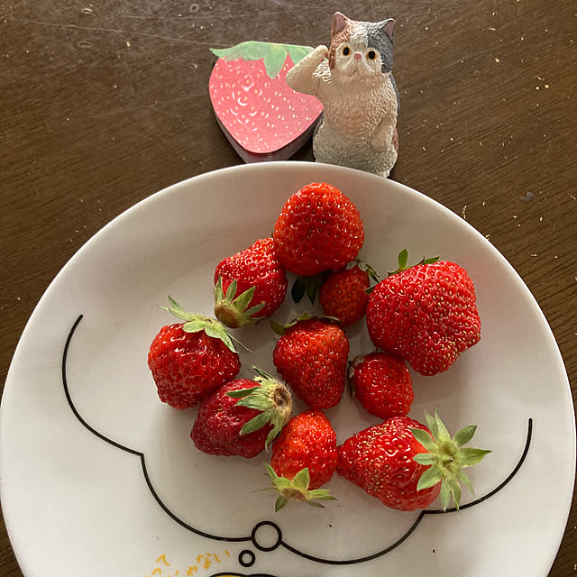 manduonmaさんの実例写真