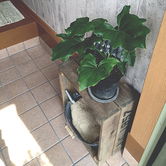 miii777さんの実例写真