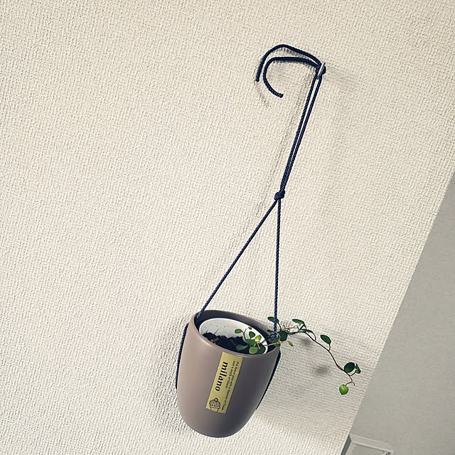 m345さんの実例写真