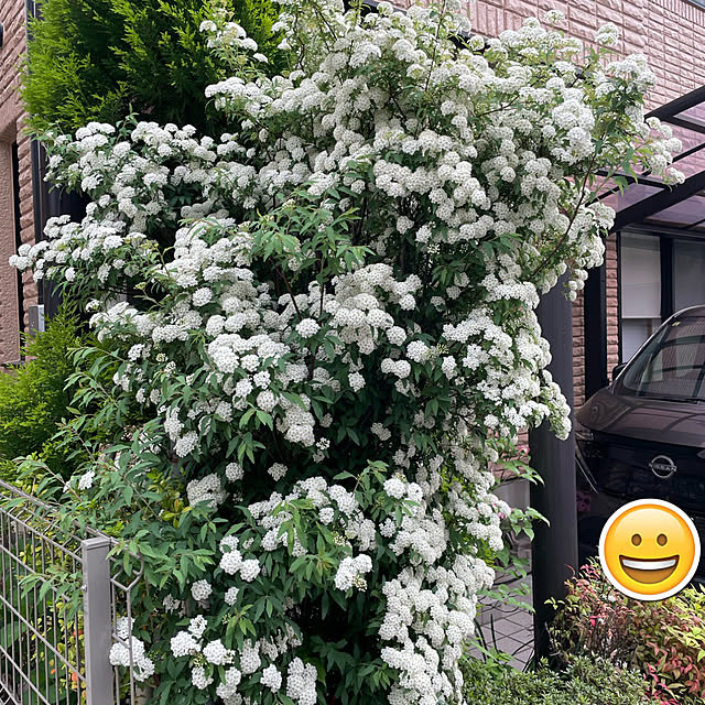 mocoさんの実例写真