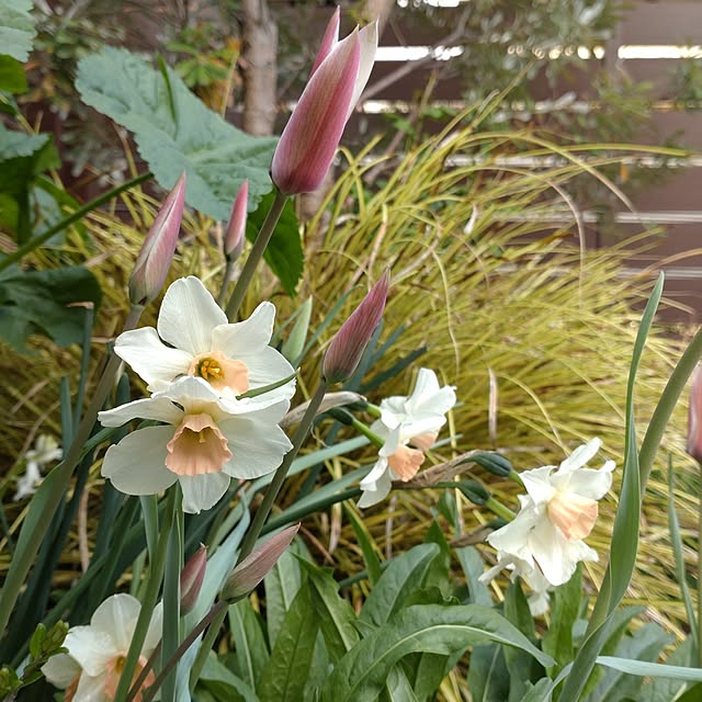 figaroさんの部屋