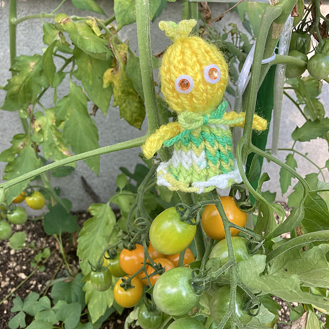 manduonmaさんの実例写真