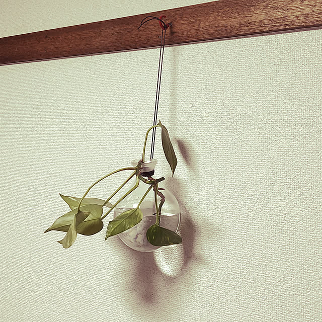 mijomijoさんの実例写真