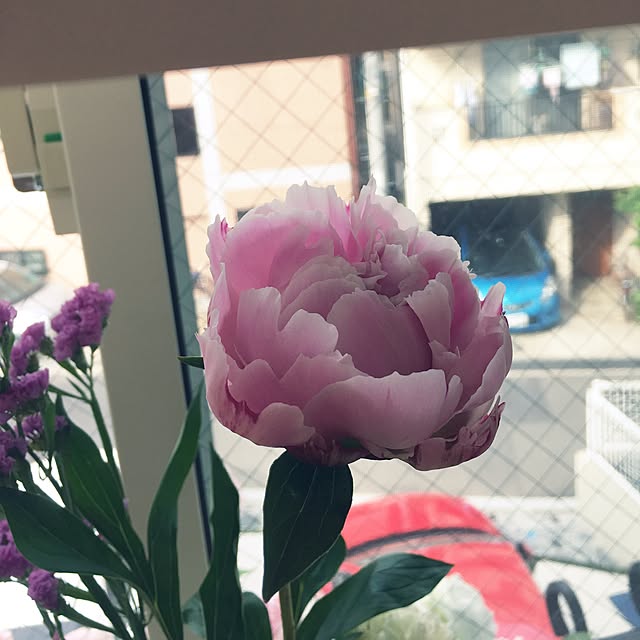 norikoさんの実例写真