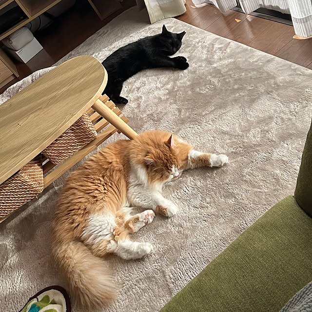 junさんの実例写真