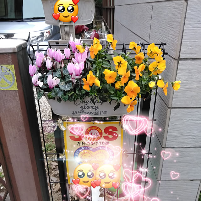 Momokoさんの実例写真
