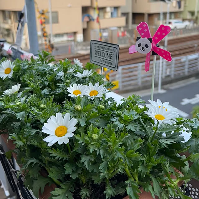 tnhungさんの実例写真