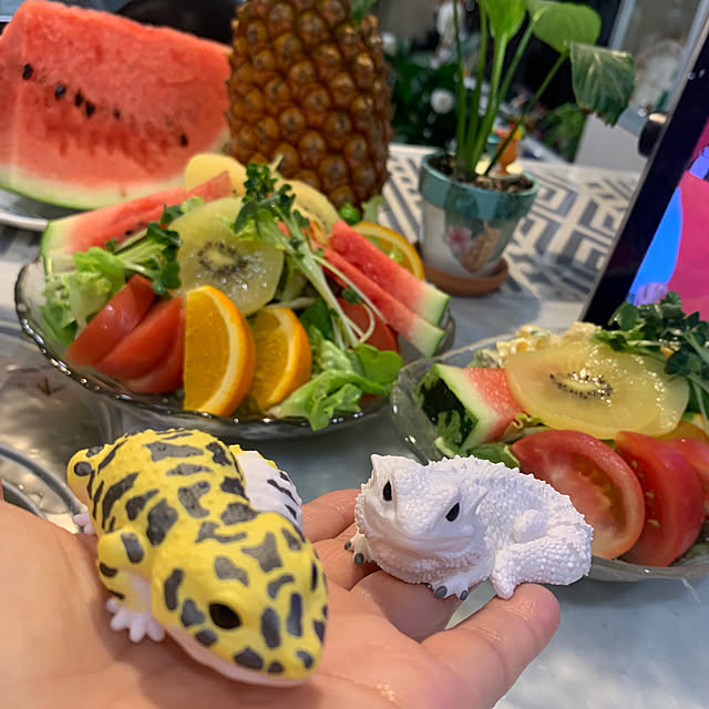 Aqettyさんの実例写真