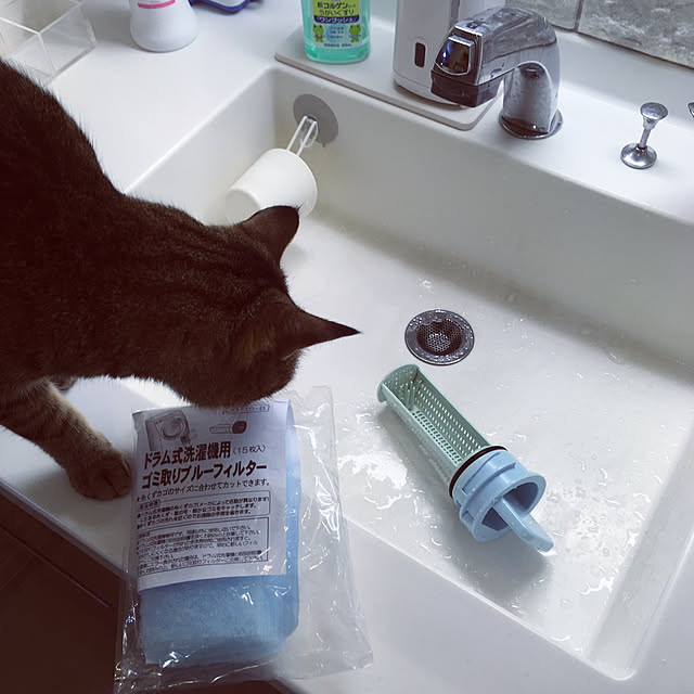 mikomaruさんの実例写真