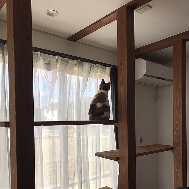 Nozomiさんの実例写真