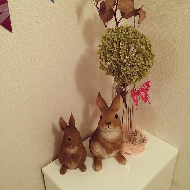 scabiosa1982さんの実例写真
