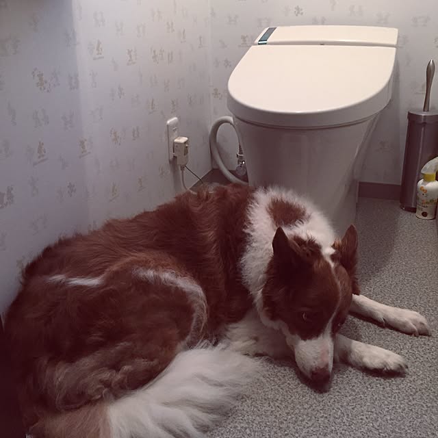 taeさんの実例写真
