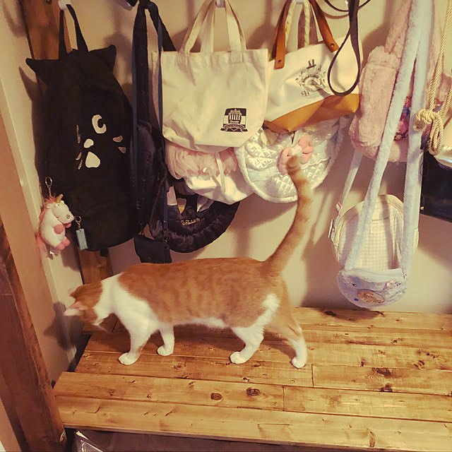 SatYさんの実例写真