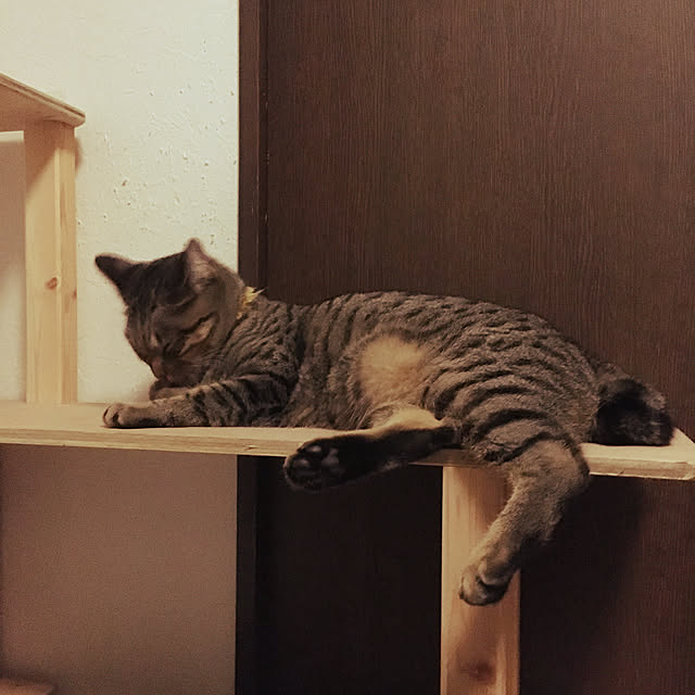 Mさんの実例写真