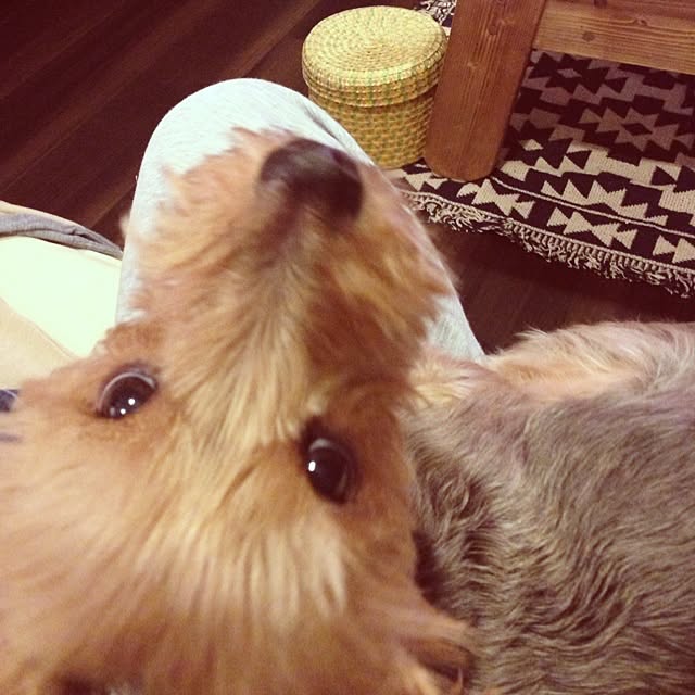 yumiさんの実例写真