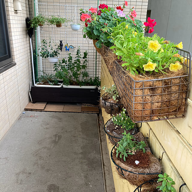 marukoさんの部屋