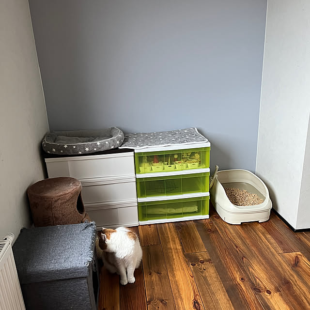 クローゼット 猫トイレのおすすめ商品とおしゃれな実例 クローゼット 猫トイレのおすすめ商品とおしゃれな実例