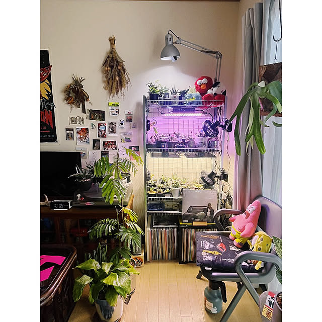 w_end_0625さんの実例写真