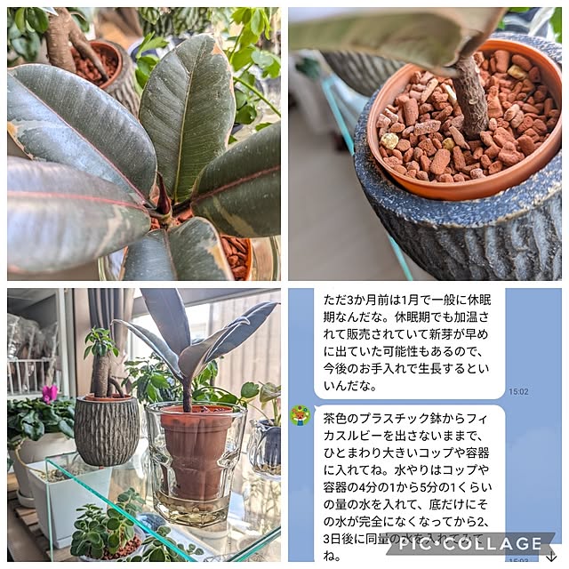 mi-saさんの部屋