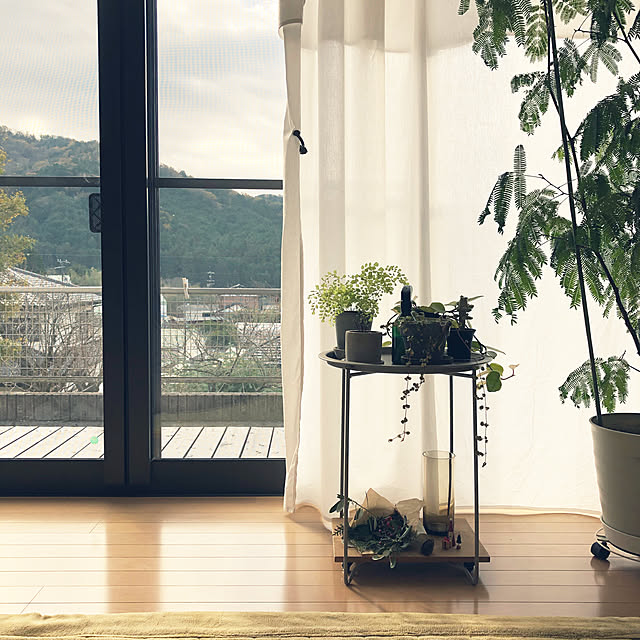 ao___.さんの実例写真