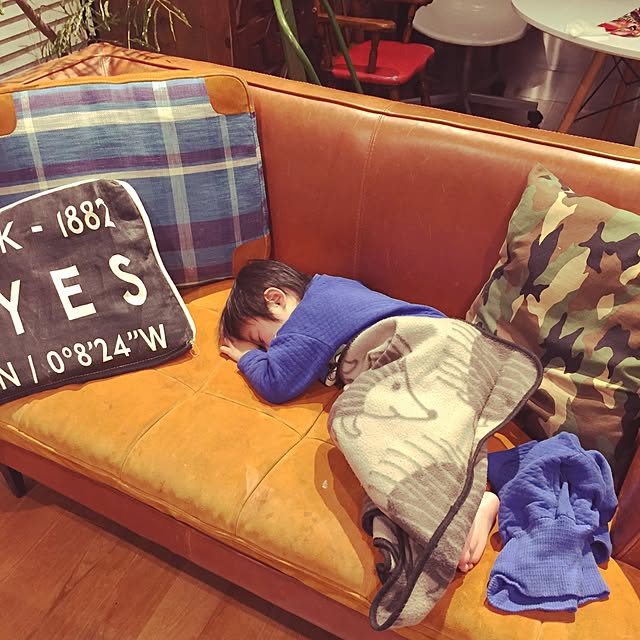 pugholicさんの実例写真