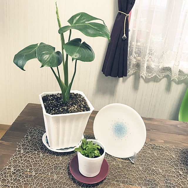 Caoluさんの実例写真
