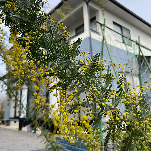 natsumiさんの部屋