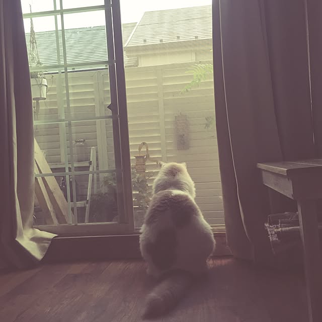 runtenさんの実例写真