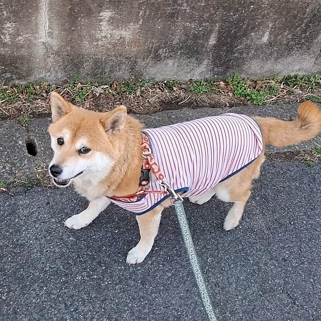 nanaさんの部屋