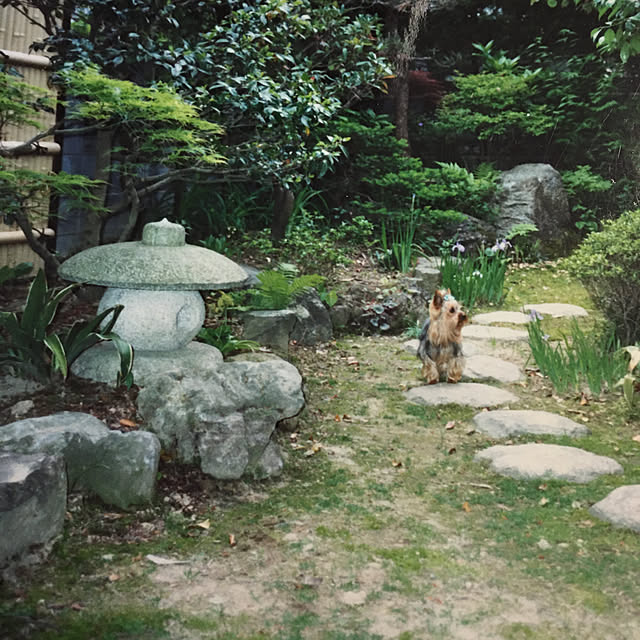 kakoさんの実例写真