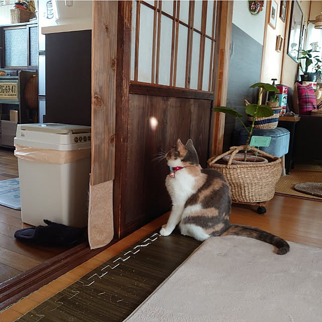 fukuさんの実例写真