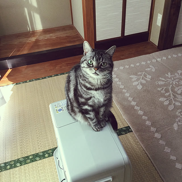 richanさんの実例写真