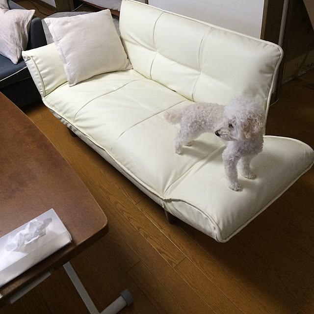 mocoyuki113さんの実例写真