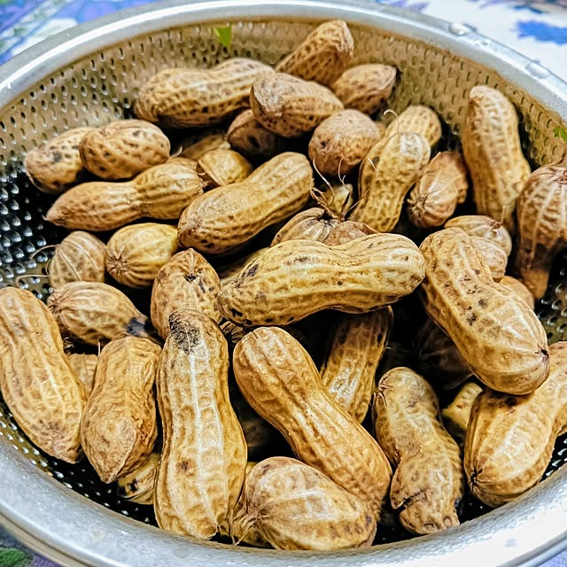 hanachanさんの部屋