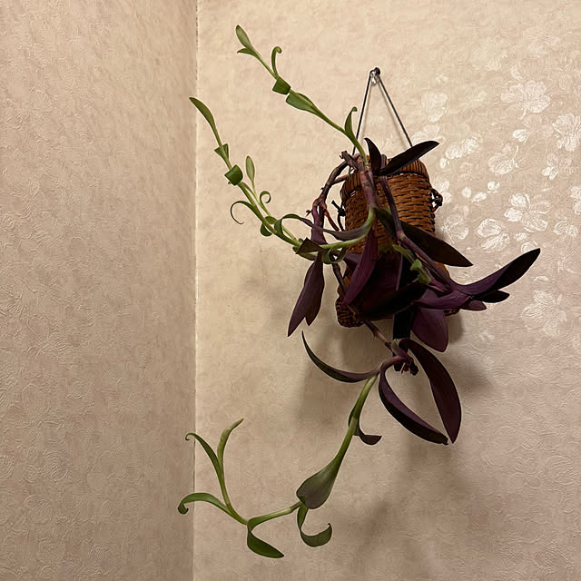 mamizaさんの部屋