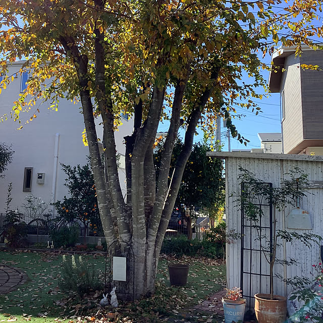 Ns_homeさんの実例写真