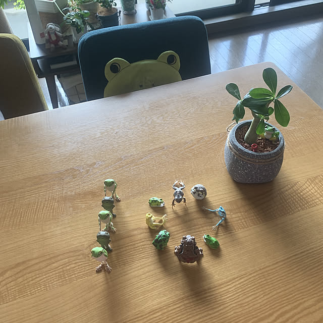 JUNさんの実例写真