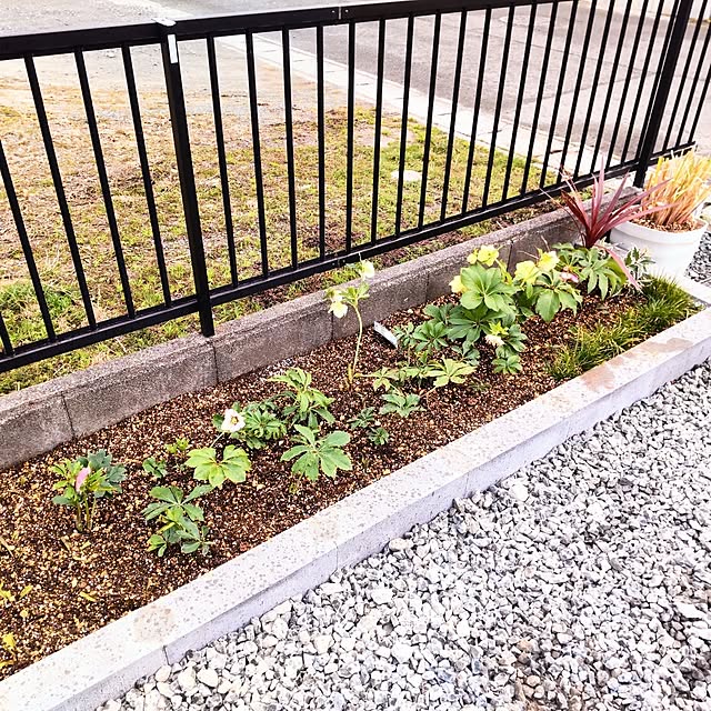 mtmtさんの部屋