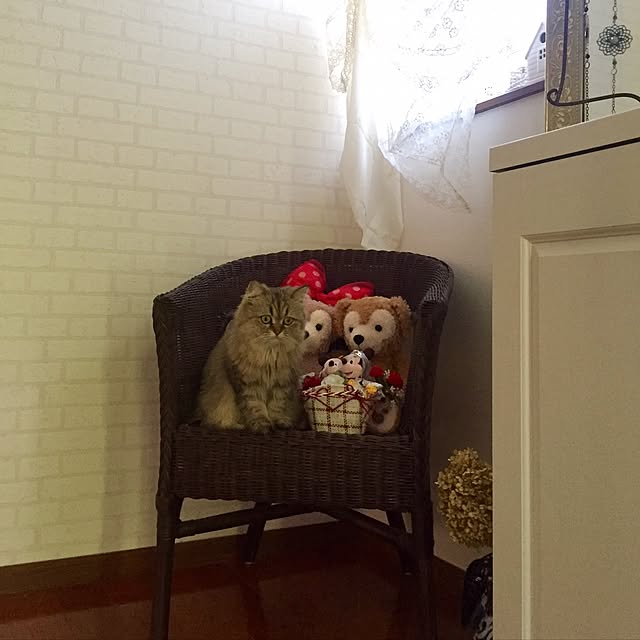 butachanさんの実例写真