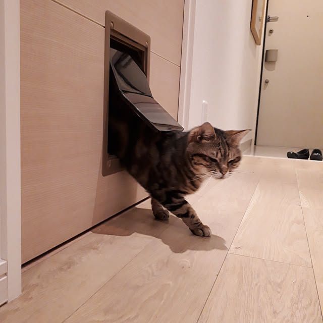 fyasukataさんの実例写真