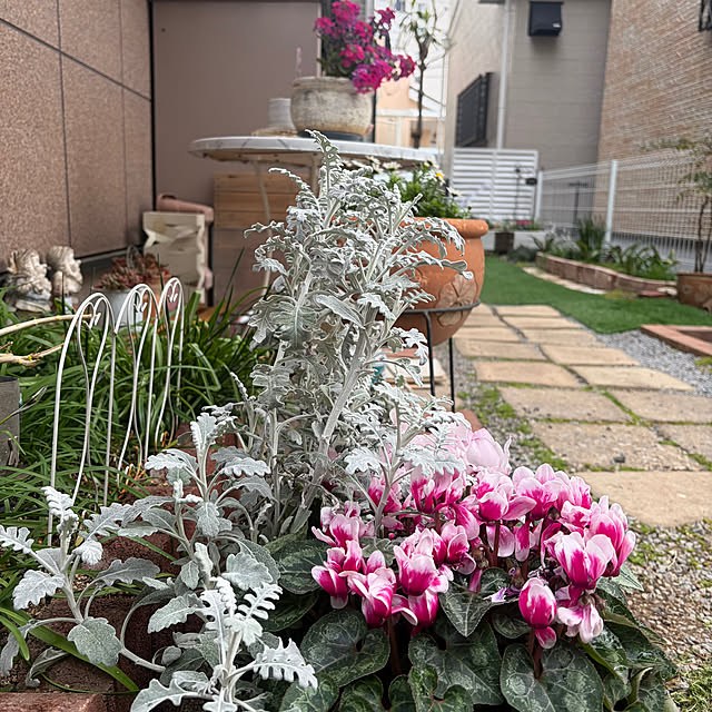 puriyuzuさんの部屋