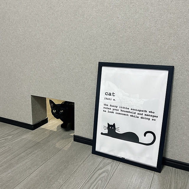 shiさんの実例写真