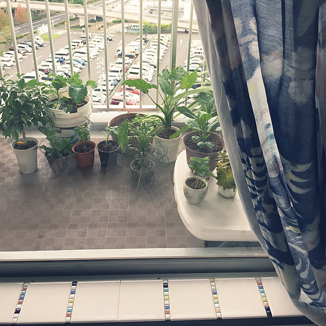 実例写真