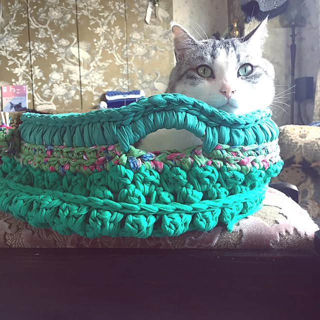 emmyyさんの実例写真
