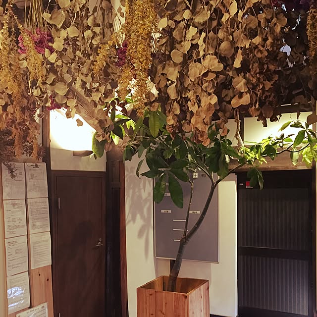 ikukoさんの実例写真