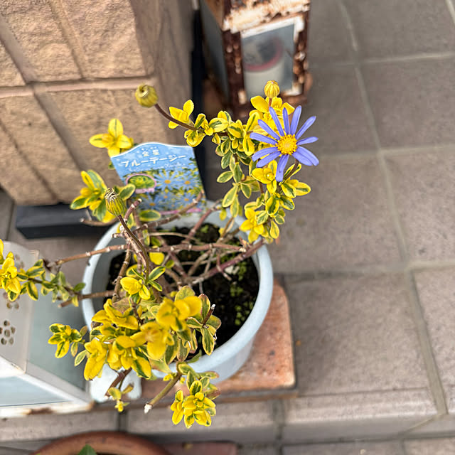 ritsukoさんの部屋