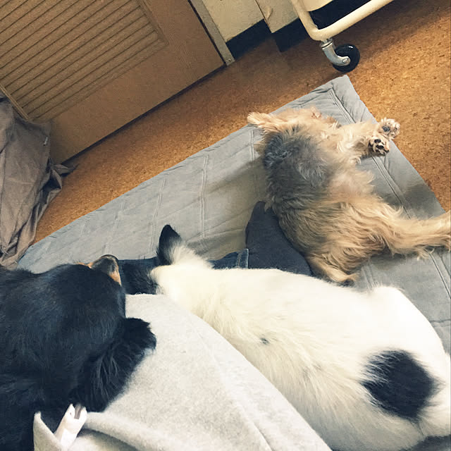 ohanaさんの実例写真