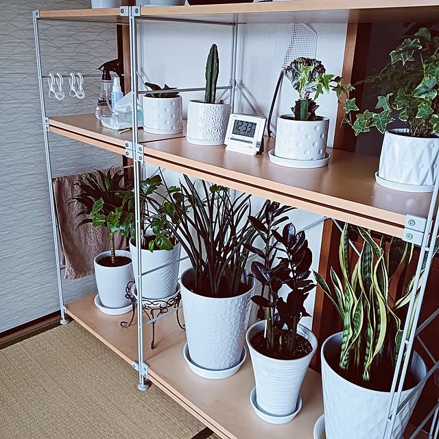 hanachanさんの部屋