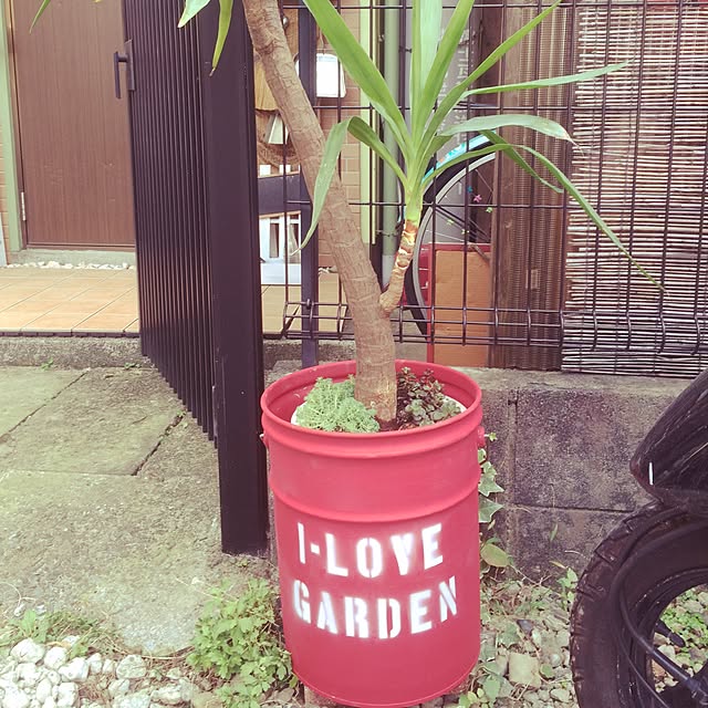 ginmamaさんの実例写真
