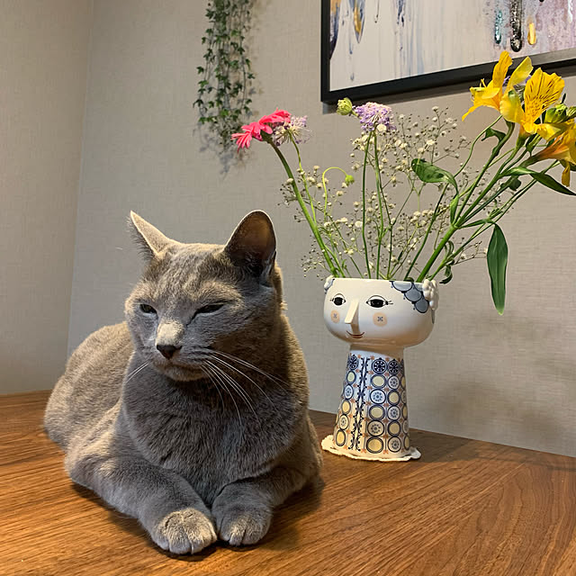 sayuuuさんの実例写真